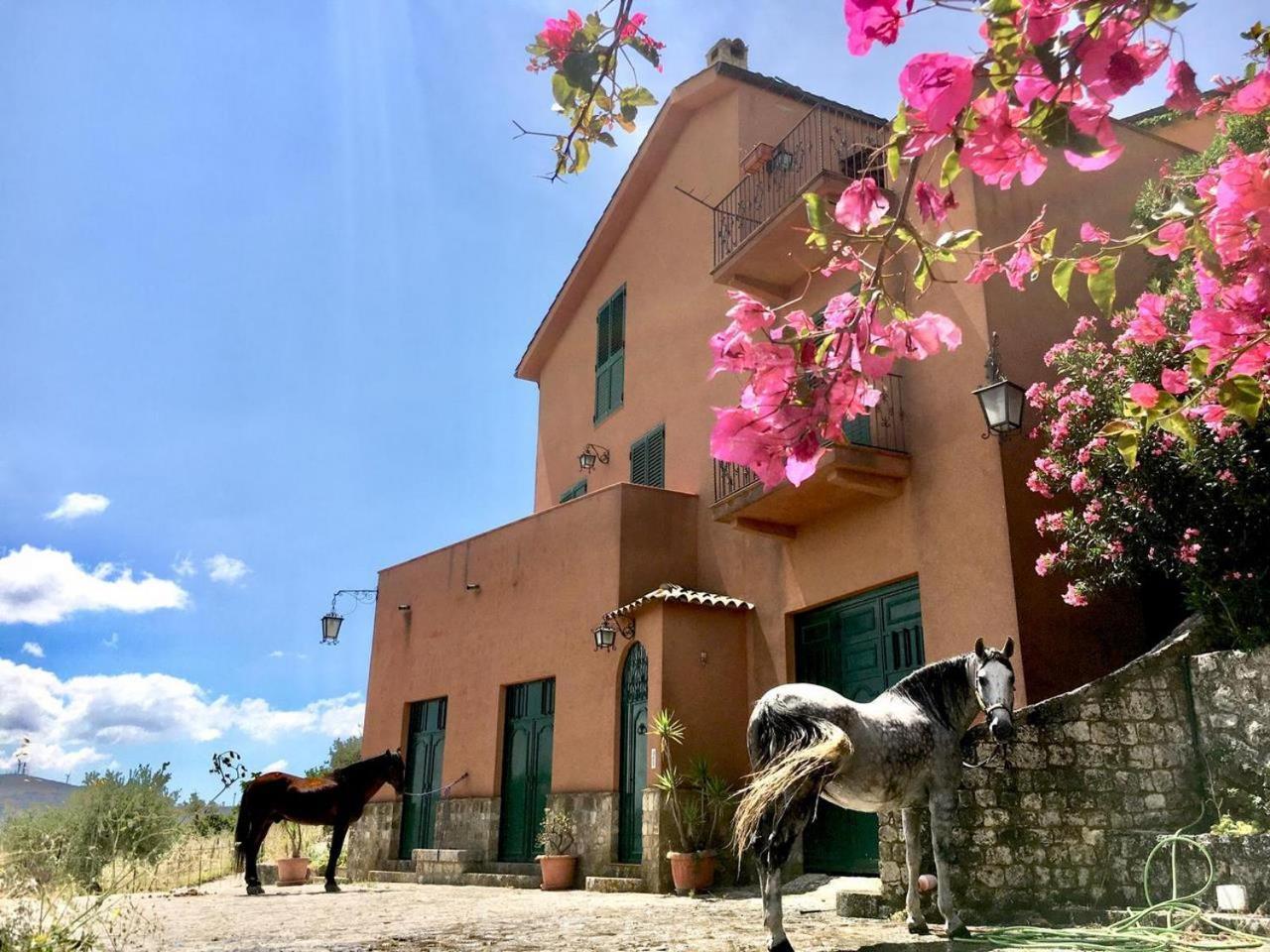Country Room Sicily - Agrigentoholidays 외부 사진